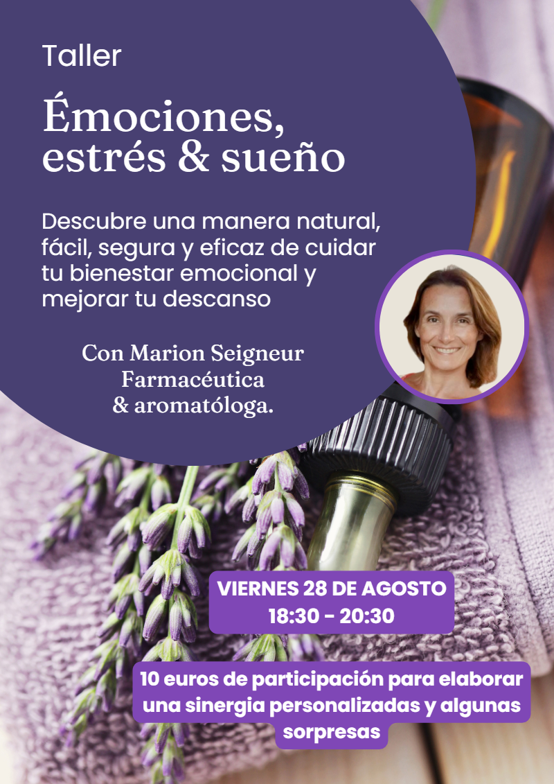 28 de Agosto taller viernes 28 de agosto